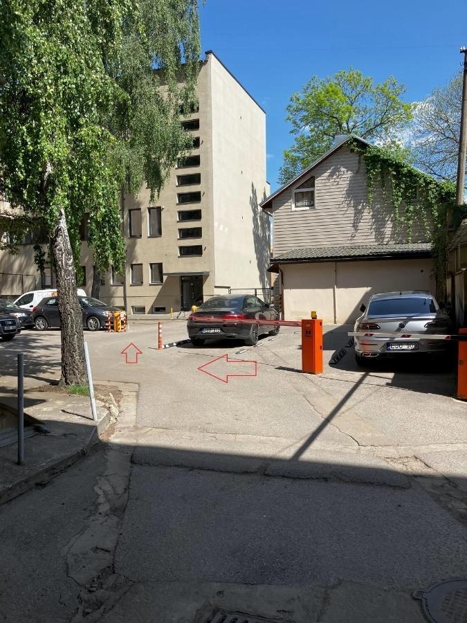 Ingos Laisves Al. Apartamentai Kaunas Dış mekan fotoğraf